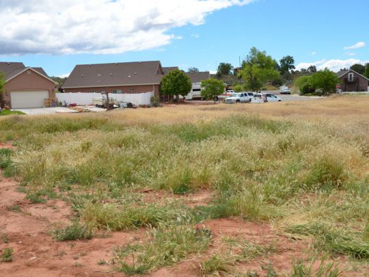 564 S Cedar Cir, Kanab, UT 84741