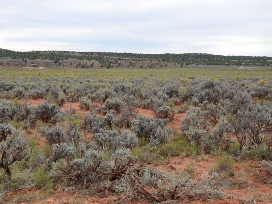 Lot 5 Dallee Dr, Kanab, UT 84741