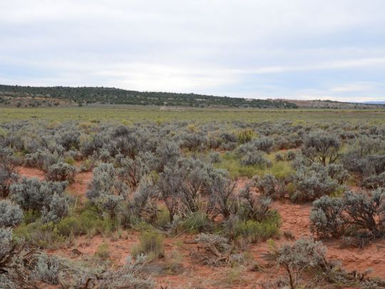 Lot 5 Dallee Dr, Kanab, UT 84741