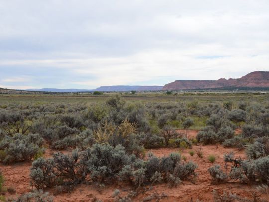 Lot 5 Dallee Dr, Kanab, UT 84741