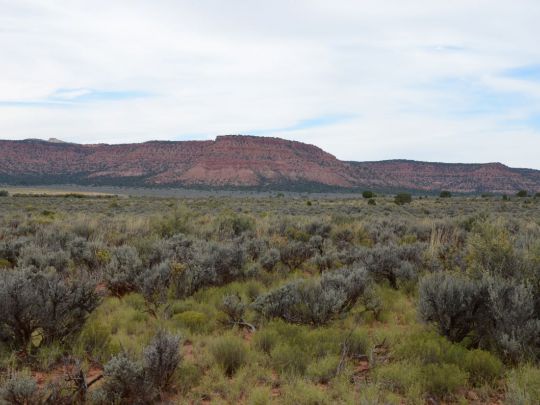Lot 5 Dallee Dr, Kanab, UT 84741