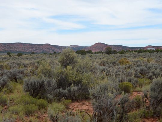 Lot 5 Dallee Dr, Kanab, UT 84741