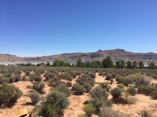 1035 S Victory Way, Big Water, UT 84741