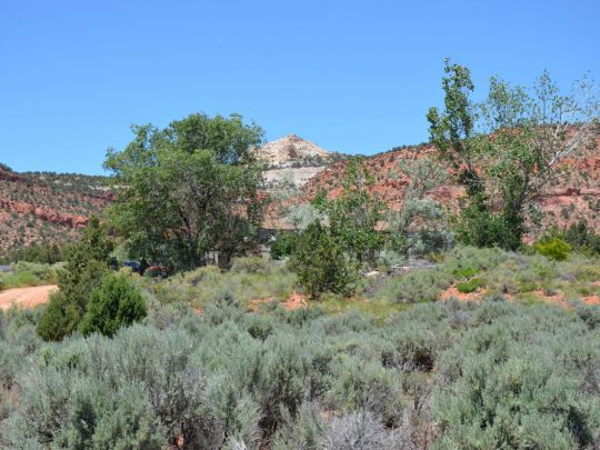 4967 E Rock Ledge Ln, Kanab, UT 84741