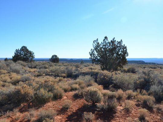 Hwy 89, Kanab, UT 84741