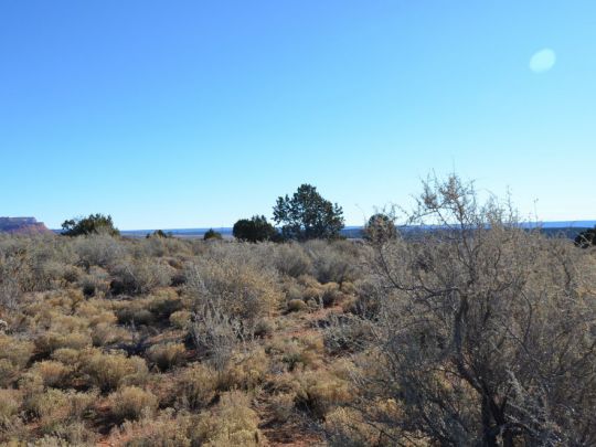 Hwy 89, Kanab, UT 84741