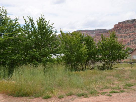 193 N 300 West, Kanab, UT 84741