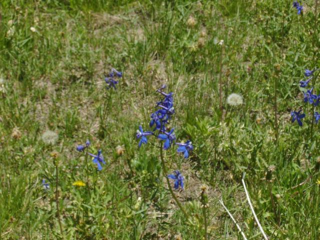 18 AcFt of Water Rights, Kanarraville, UT 84742