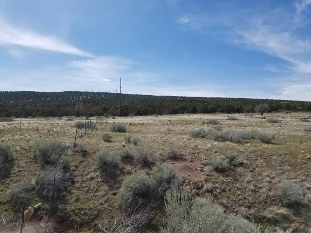 25.36 Acre Kanarra Hills Dr, Kanarraville, UT 84742