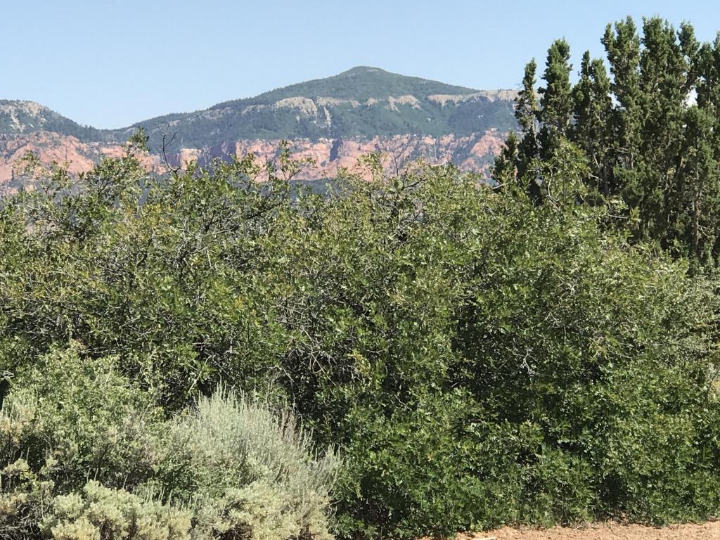 Lot 14 Maverick Way, Kanarraville, UT 84742