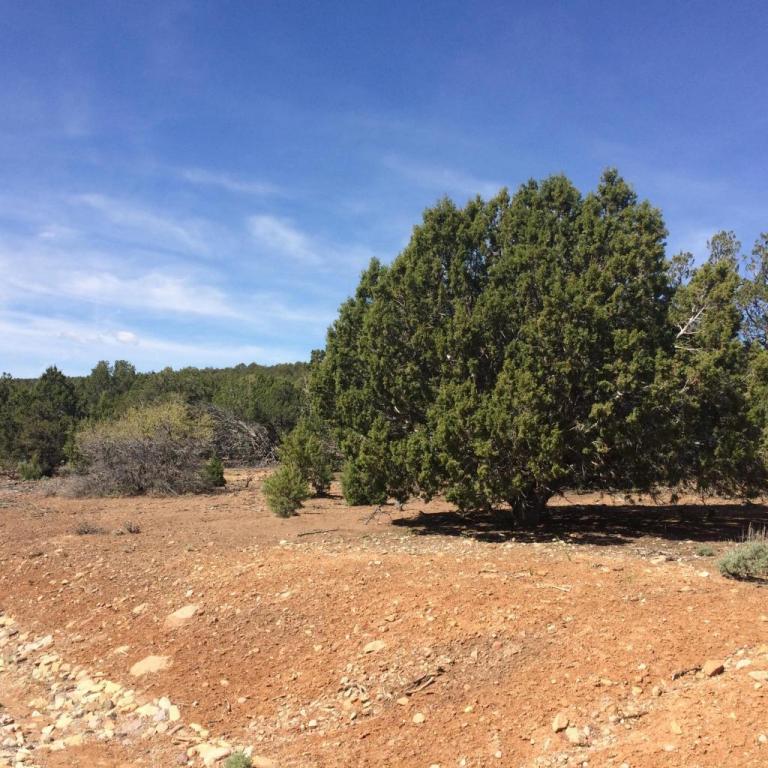 Lot 35 Bareback, Kanarraville, UT 84742