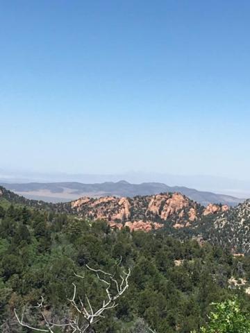 Kanarra Mountain Lower Basin, Kanarraville, UT 84742