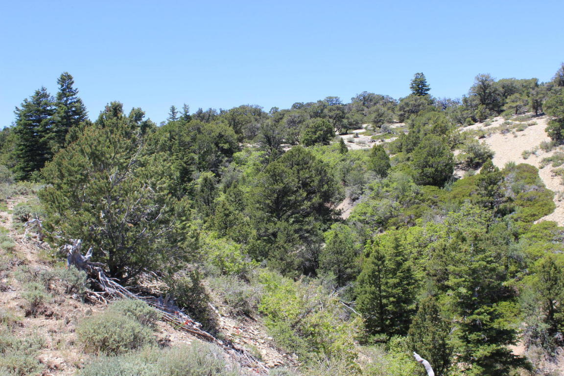 Kanarra Mountain Lower Basin, Kanarraville, UT 84742