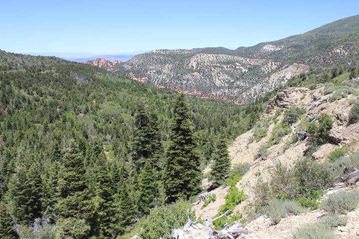 Kanarra Mountain Lower Basin, Kanarraville, UT 84742