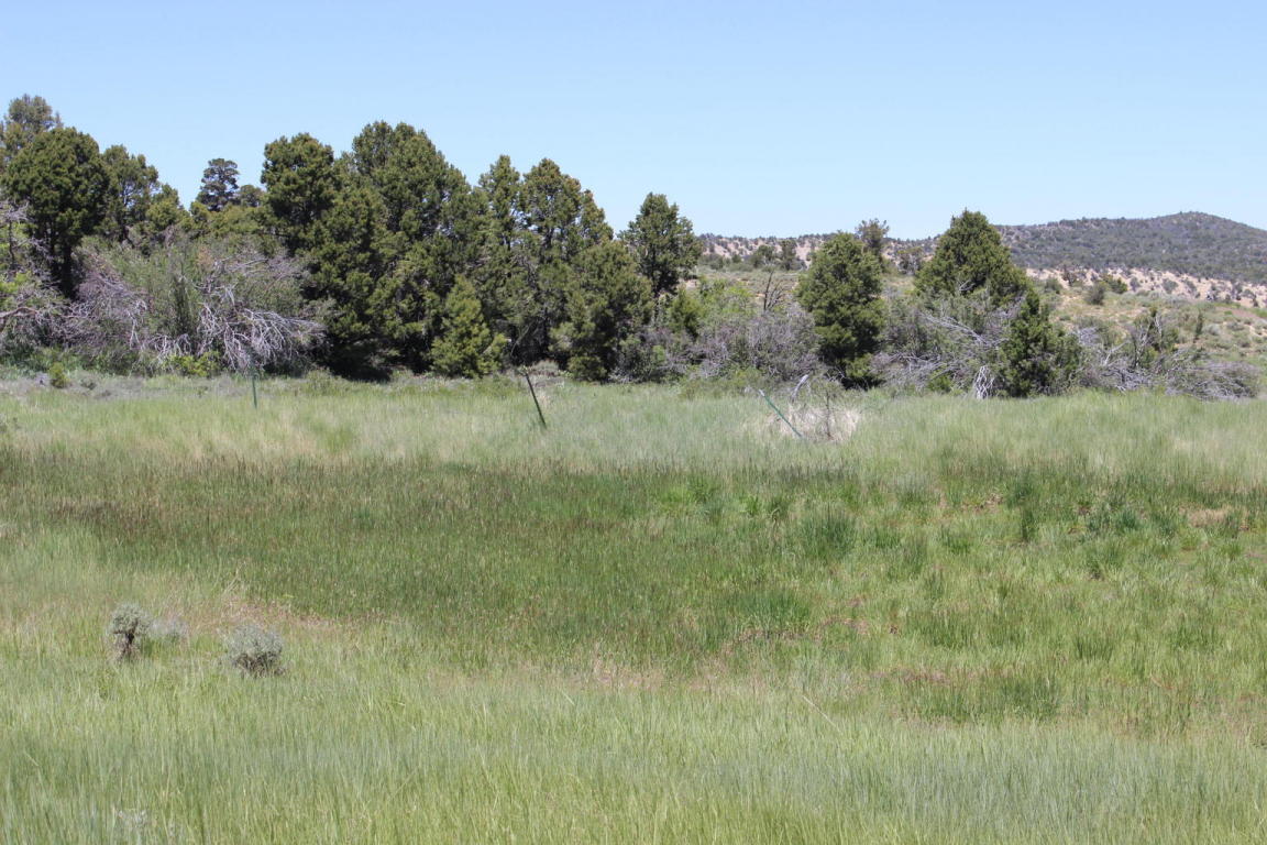 Kanarra Mountain Lower Basin, Kanarraville, UT 84742