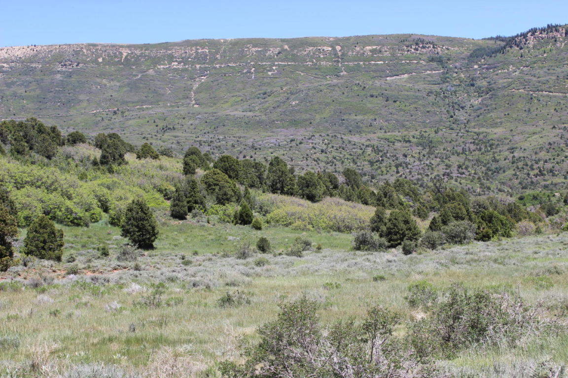 Kanarra Mountain Lower Basin, Kanarraville, UT 84742
