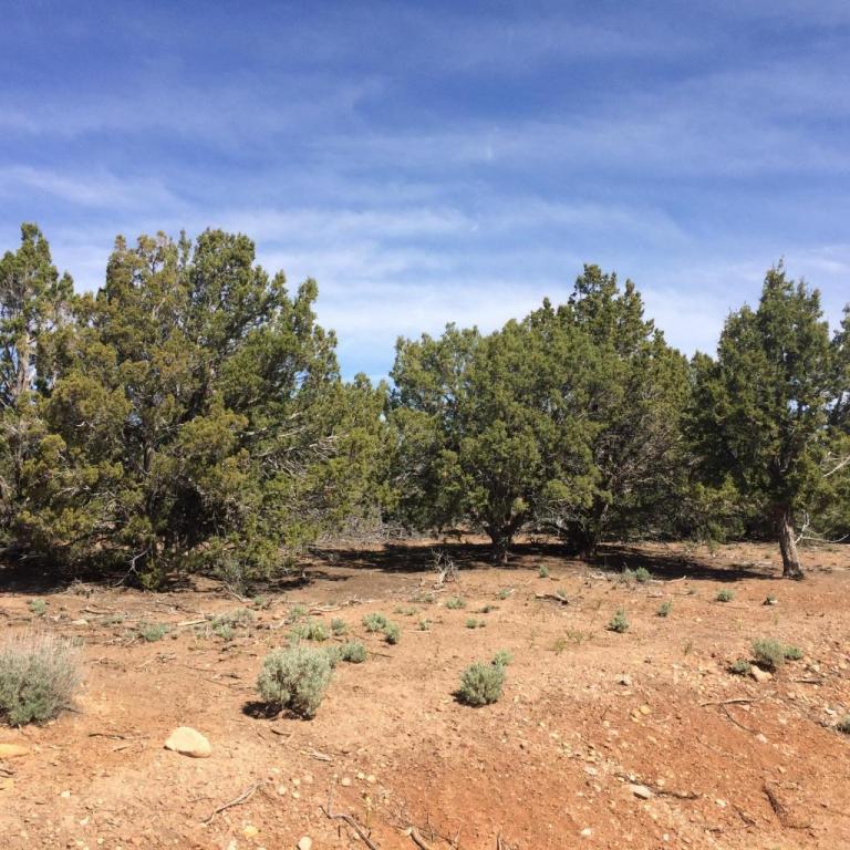 Lot 39 Bareback, Kanarraville, UT 84742