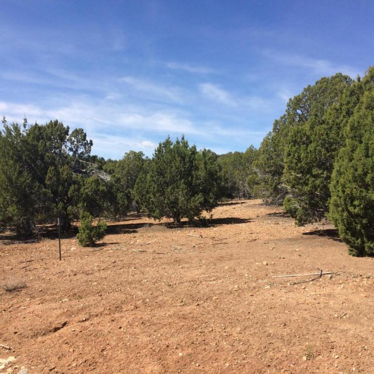 Lot 39 Bareback, Kanarraville, UT 84742