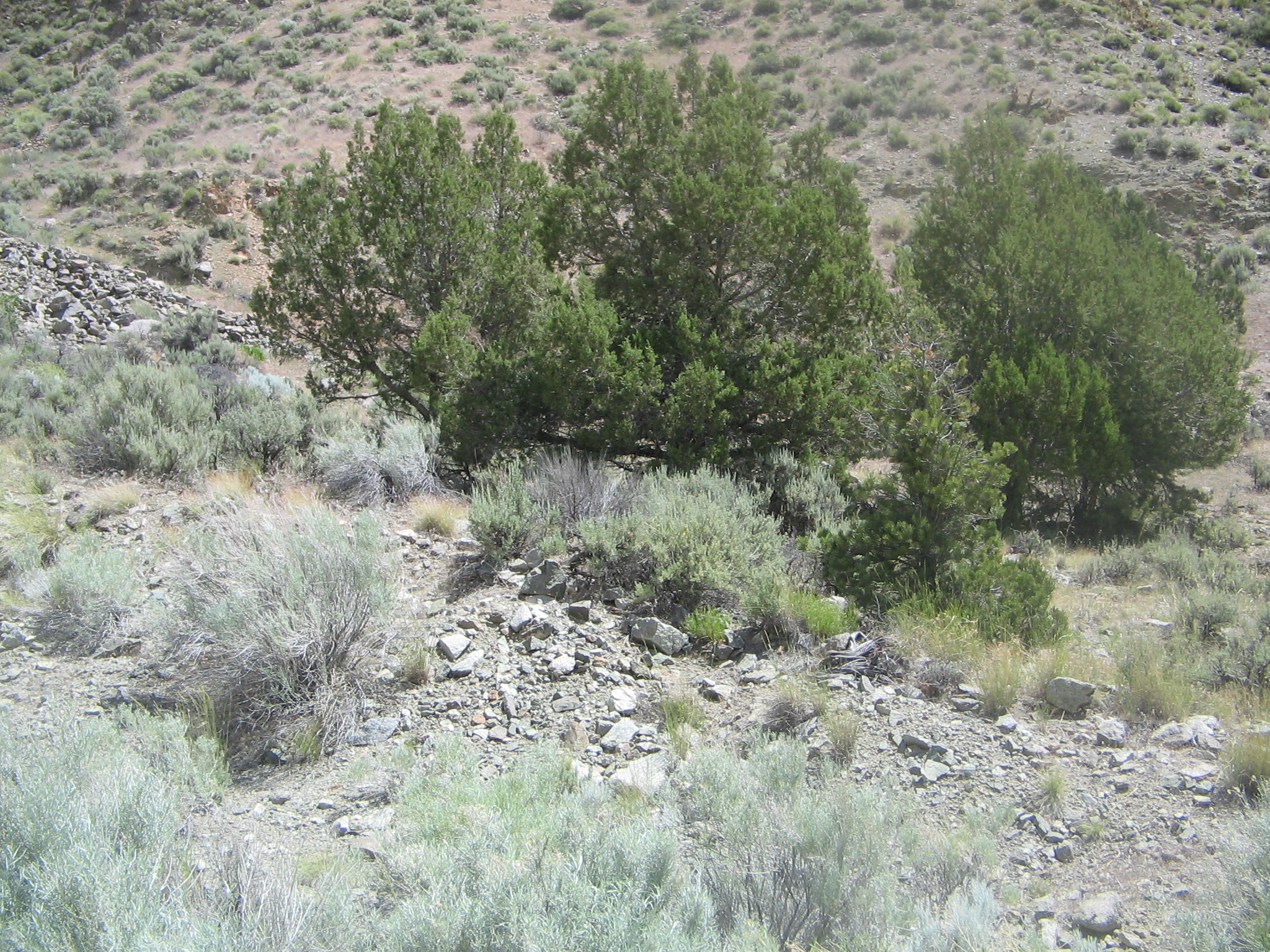 Marysvale Canyon Estate, Marysvale, UT 84750