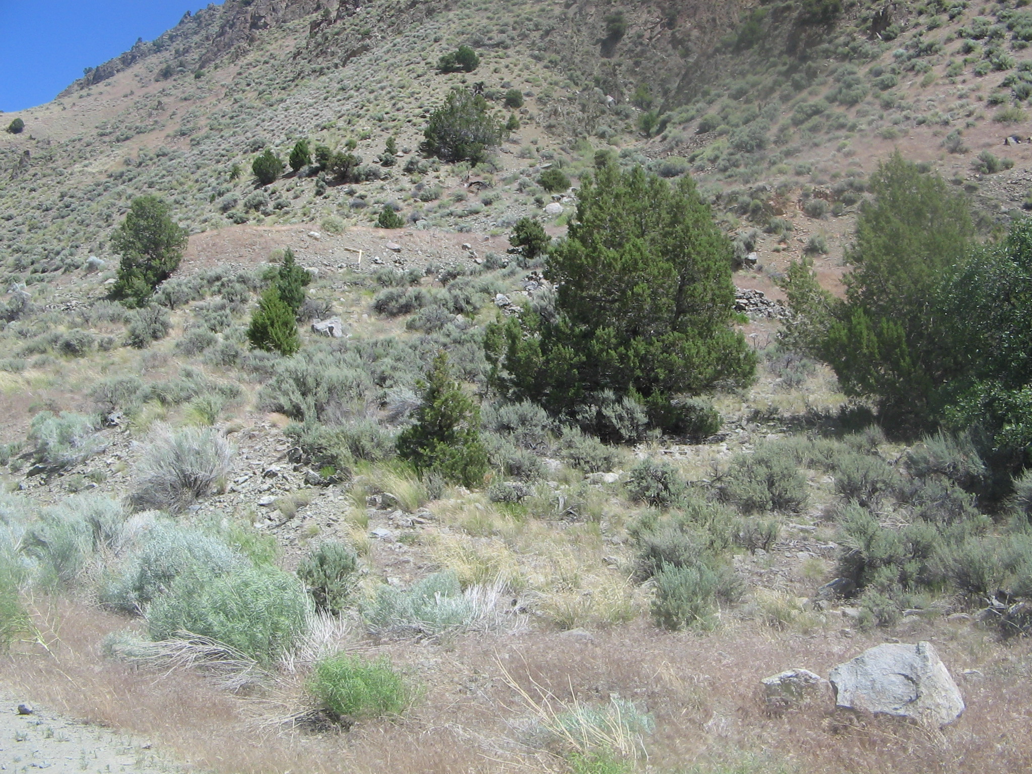 Marysvale Canyon Estate, Marysvale, UT 84750