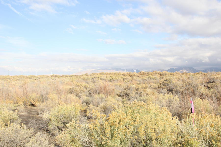 92 Acres on Hwy 257 north of Milford, Milford, UT 84751