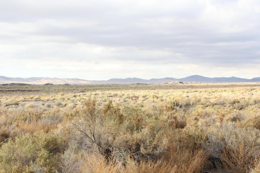 92 Acres on Hwy 257 north of Milford, Milford, UT 84751