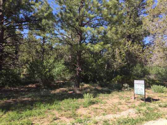 Ponderosa Pine St W, Mount Carmel, UT 84755