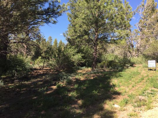 Ponderosa Pine St W, Mount Carmel, UT 84755