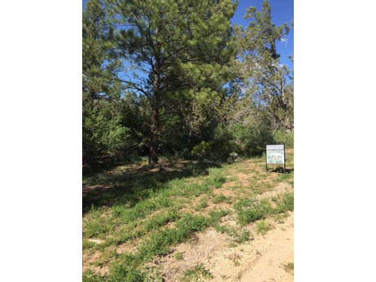 Ponderosa Pine St W, Mount Carmel, UT 84755