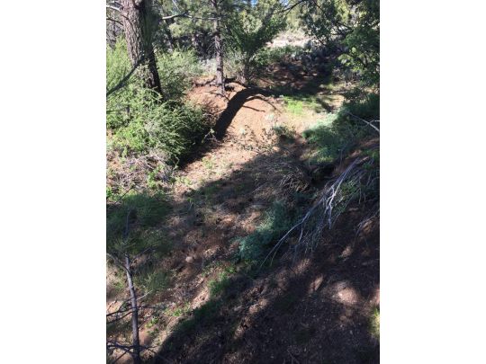 Ponderosa Pine St W, Mount Carmel, UT 84755