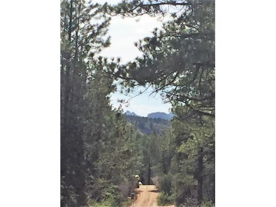 Ponderosa Pine St W, Mount Carmel, UT 84755