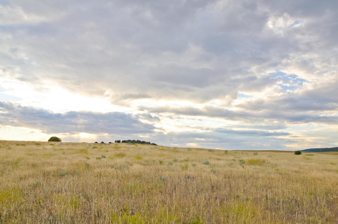 BUFFALO RIDGE RD, Mt. Carmel, UT 84755