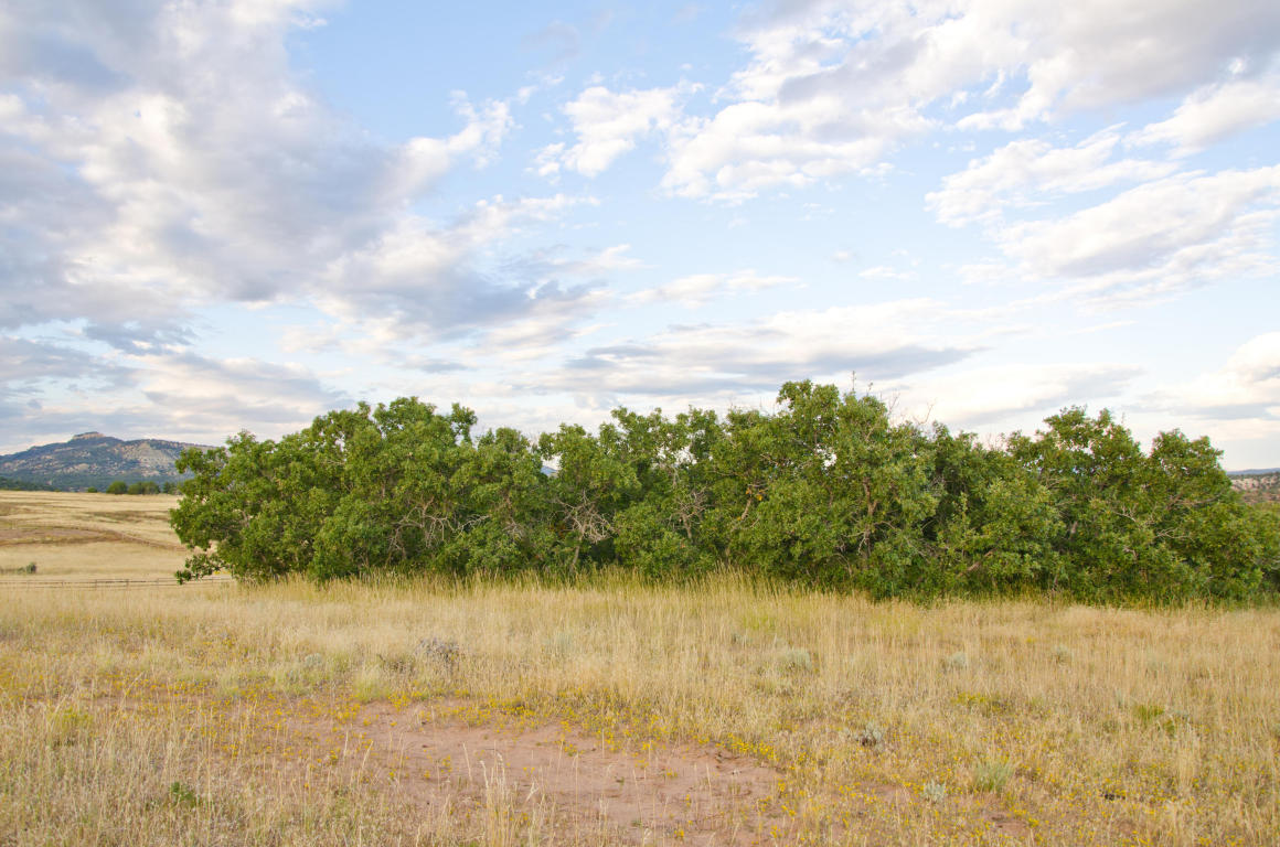 BUFFALO RIDGE RD, Mt. Carmel, UT 84755