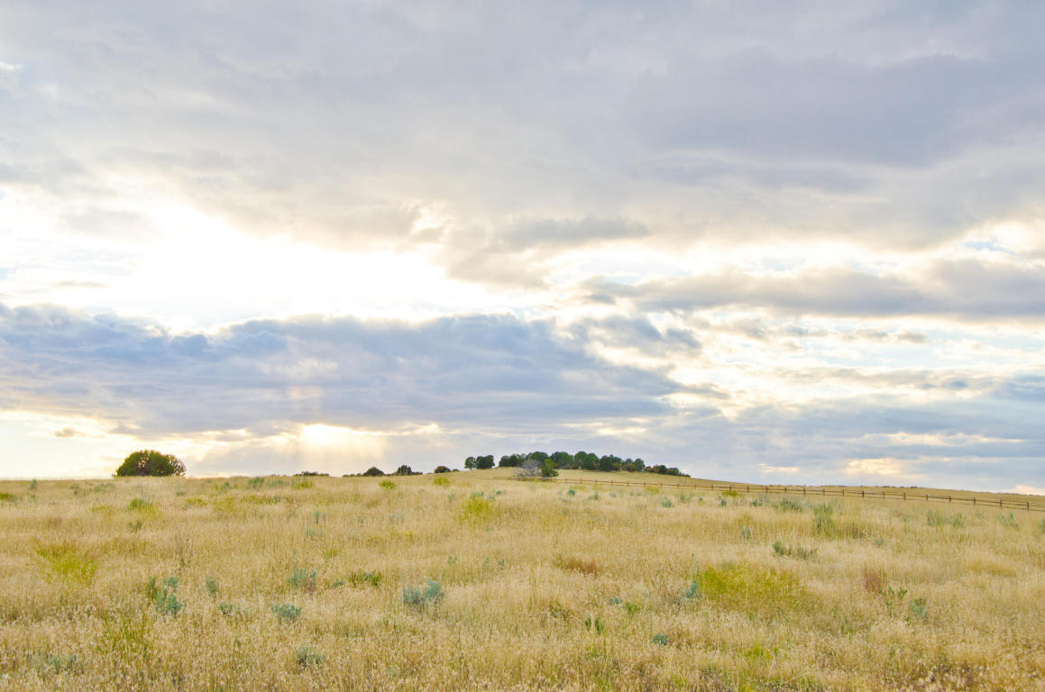 BUFFALO RIDGE RD, Mt. Carmel, UT 84755