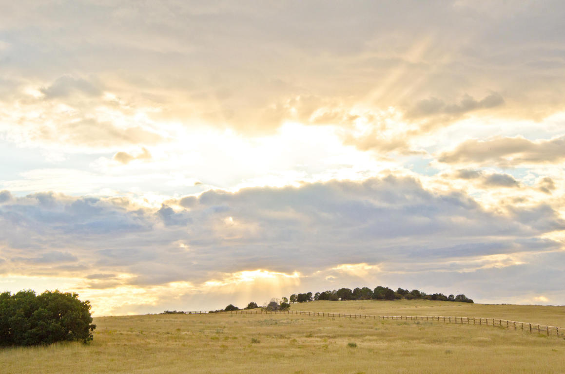 BUFFALO RIDGE RD, Mt. Carmel, UT 84755