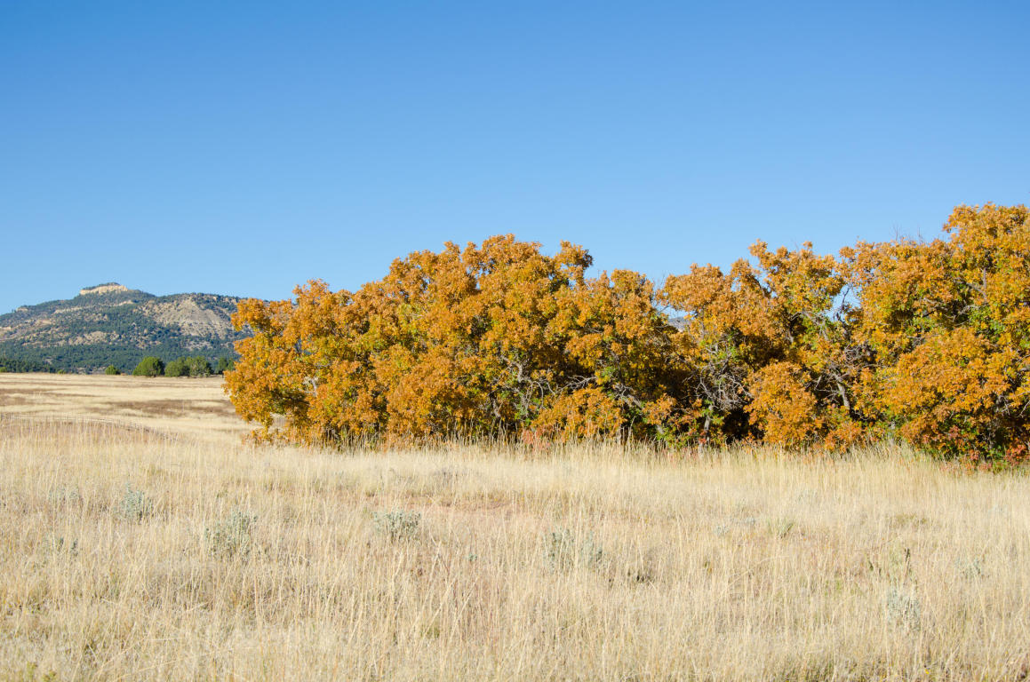 BUFFALO RIDGE RD, Mt. Carmel, UT 84755