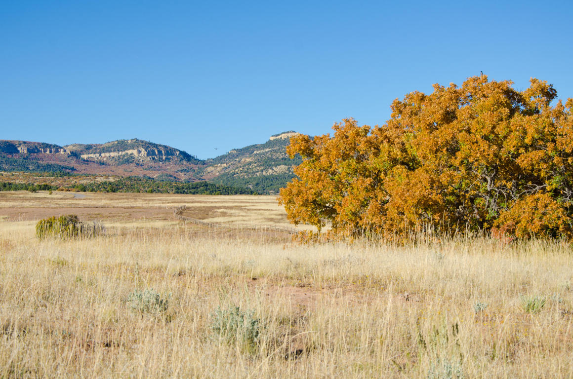 BUFFALO RIDGE RD, Mt. Carmel, UT 84755