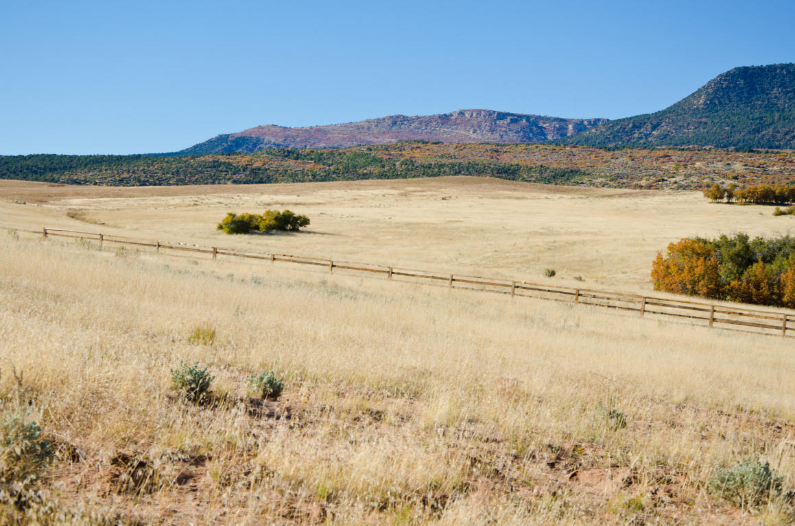 BUFFALO RIDGE RD, Mt. Carmel, UT 84755
