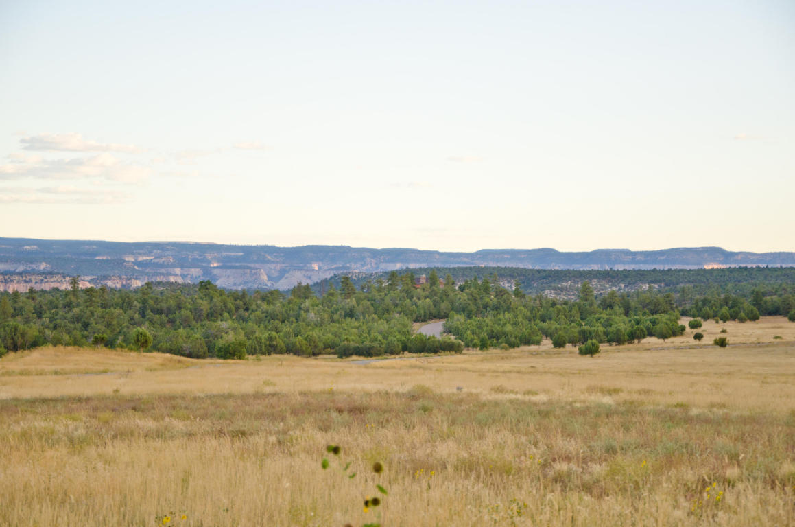 BUFFALO RIDGE RD, Mt. Carmel, UT 84755