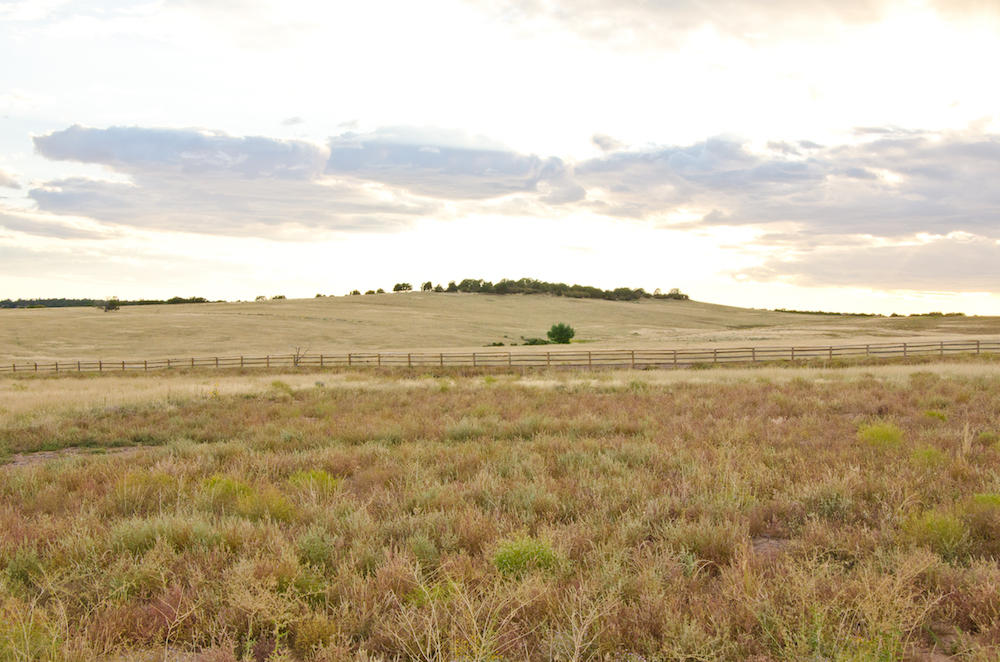 BUFFALO RIDGE RD, Mt. Carmel, UT 84755