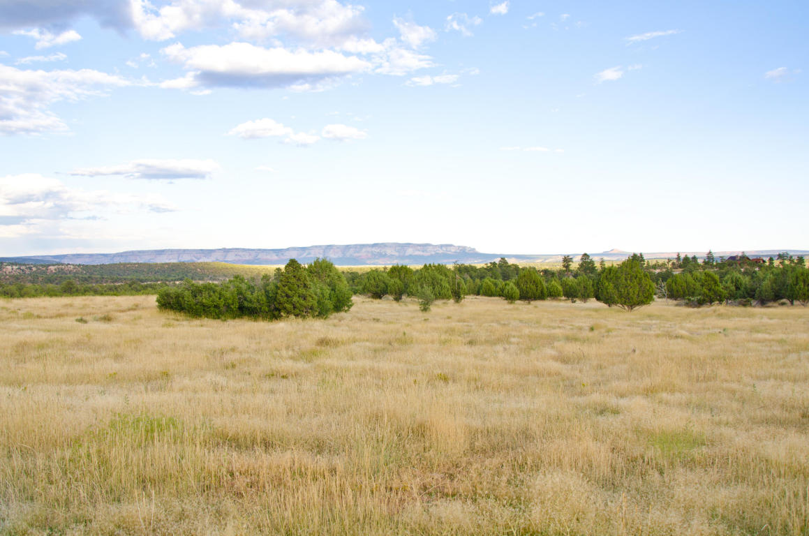BUFFALO RIDGE RD, Mt. Carmel, UT 84755