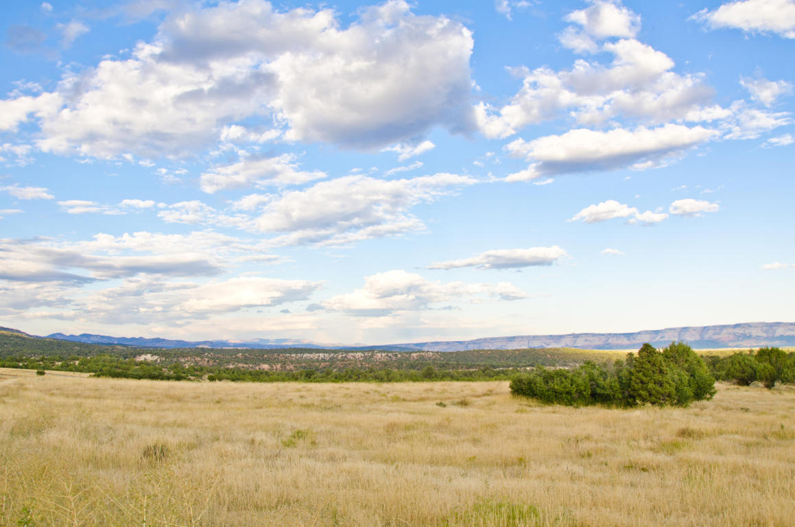 BUFFALO RIDGE RD, Mt. Carmel, UT 84755