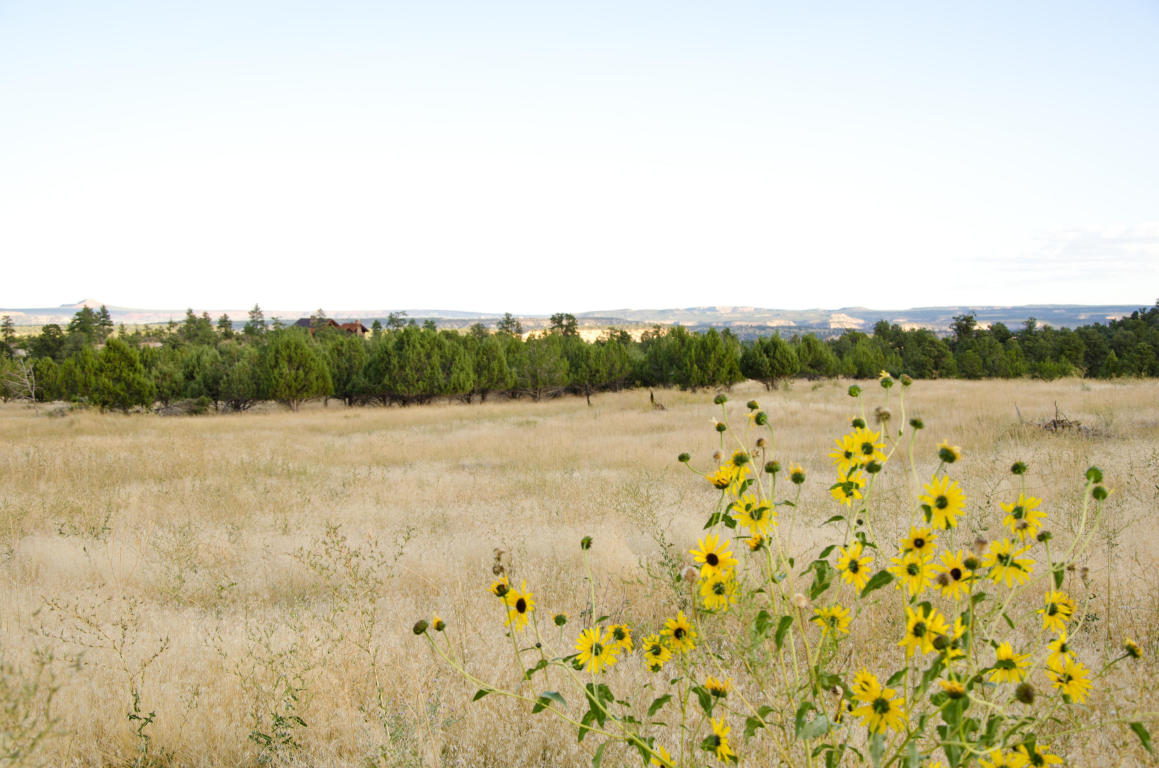 BUFFALO RIDGE RD, Mt. Carmel, UT 84755