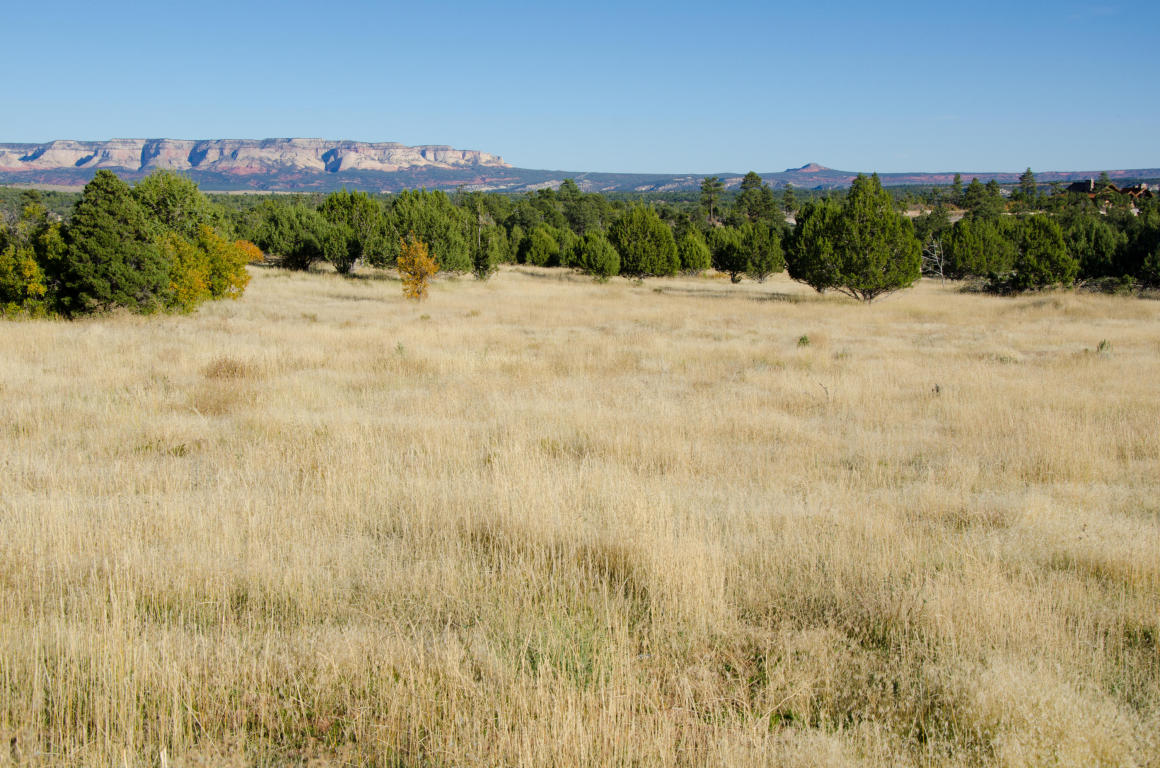 BUFFALO RIDGE RD, Mt. Carmel, UT 84755
