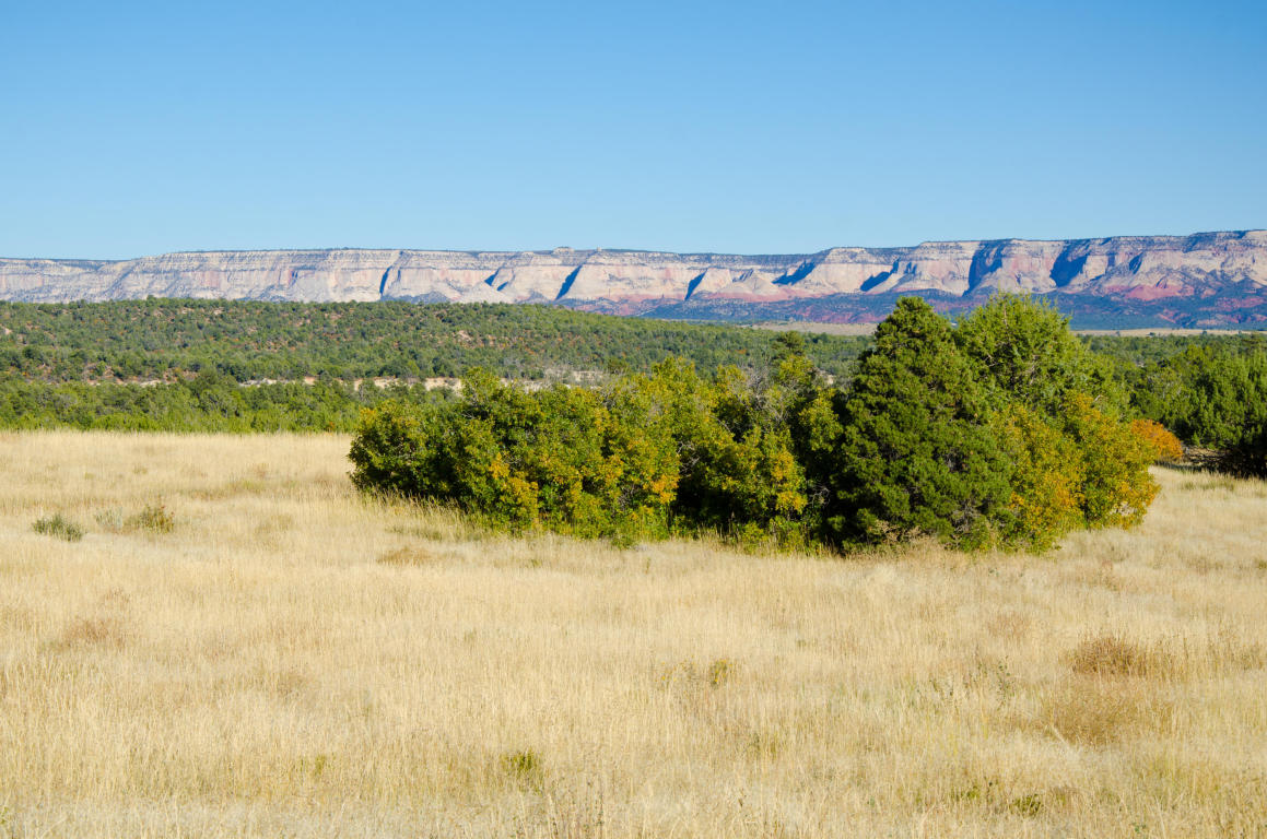 BUFFALO RIDGE RD, Mt. Carmel, UT 84755