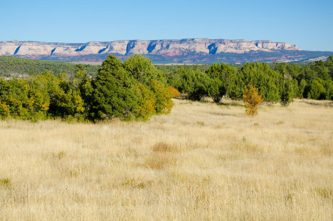BUFFALO RIDGE RD, Mt. Carmel, UT 84755