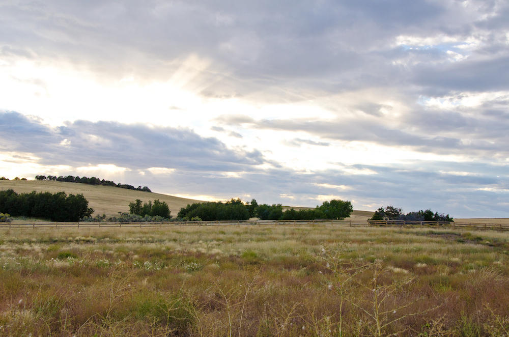 BUFFALO RIDGE RD, Mt. Carmel, UT 84755