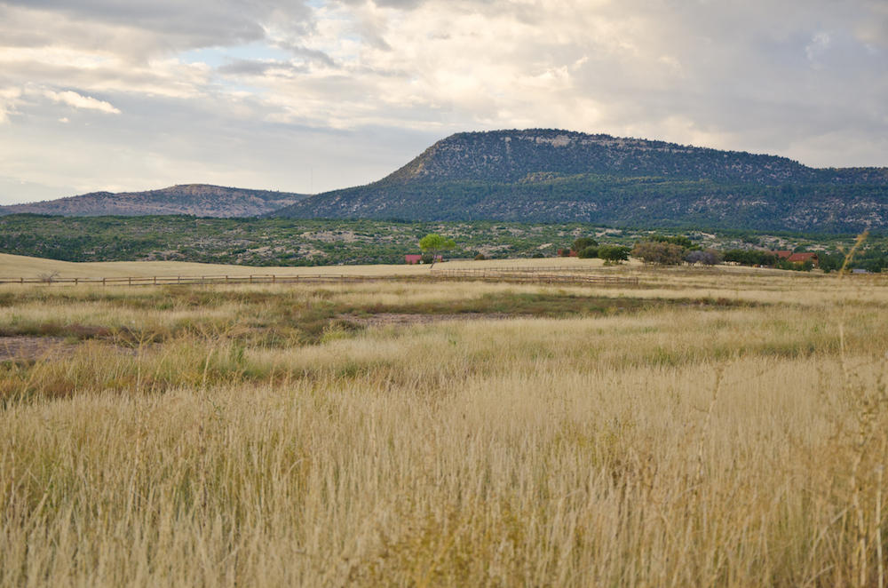 BUFFALO RIDGE RD, Mt. Carmel, UT 84755