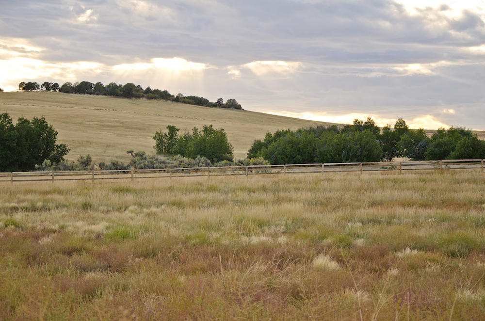 BUFFALO RIDGE RD, Mt. Carmel, UT 84755