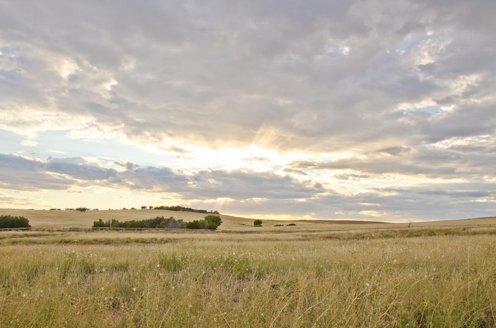 BUFFALO RIDGE RD, Mt. Carmel, UT 84755